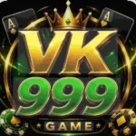 VK999